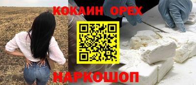 СК Новокубанск