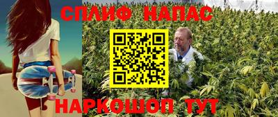 СК Новокубанск